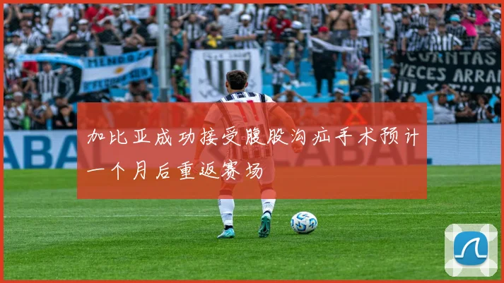 加比亚成功接受腹股沟疝手术预计一个月后重返赛场