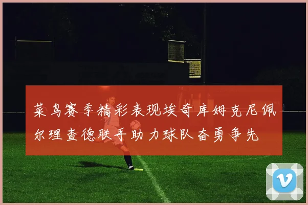 菜鸟赛季精彩表现埃奇库姆克尼佩尔理查德联手助力球队奋勇争先